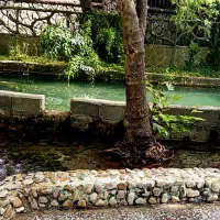 باغچه تفریحی