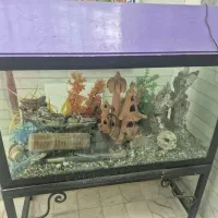اکواریوم با همه امکانات