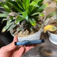 آیفون ۱۳ نرمال درحد|موبایل|پاکدشت, پاکدشت (مامازند)|دیوار