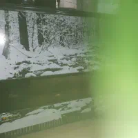 یک عددبخاری درحدمدل ایران شرق ۱۰۰۰۰ برای فروش