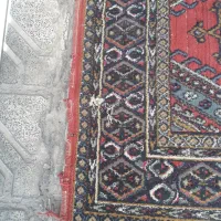 قالیچه دستباف|فرش|مشهد, مشکینی (شهرک غرب)|دیوار