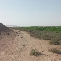 معاوضه زمین کشاورزی و باغچه باآپارتمان