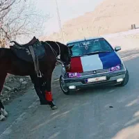 پژو 405 مدل 95 نازار