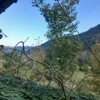 ویلای کوهستانی جنگلی