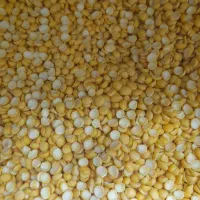 حبوبات خورده وعمده با قیمت استثنایی|عمدهفروشی|مرودشت, علیآباد|دیوار