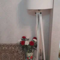 آباژور