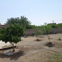 فروش خانه خیراباد|فروش خانه و ویلا|سبزوار, ایزی شهر|دیوار