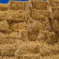 کاه،یونجه ،جو و نهاده تحویلی