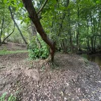 رهن خانه ویلایی ۱۰۰۰ متری مناسب برای کافه رستوران|اجارهٔ خانه و ویلا|لاهیجان, بوجایه|دیوار