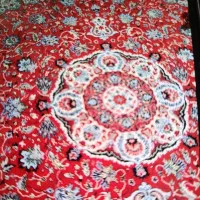 فرش شش متری لاکی|فرش|قزوین, |دیوار