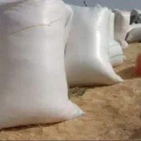 کاه .علف باغی