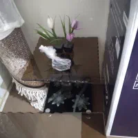 جلو مبل شیشه ای درحدنو
