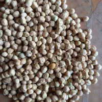 عدس|خوردنی و آشامیدنی|تهران, بازار|دیوار