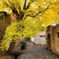 خدمه نظافتچی خانم