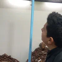 مه پاش