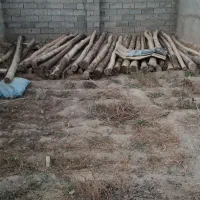 مساله ساختمان