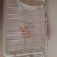 ابچکان رو میزی|آبچکان و نظمدهنده ظروف|الیگودرز, |دیوار