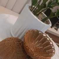 سبد سبزی