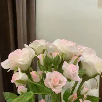 رز های بزرگ هلندی|صنایع دستی و سایر لوازم تزئینی|تهران, قناتکوثر|دیوار