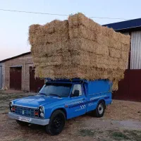 پرس شالی  گندم