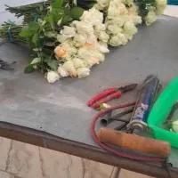 نیازمند کار