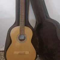 گیتار دالاهو