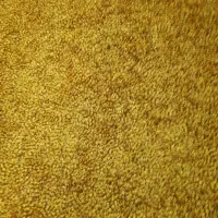 سیم کارت خط تهران برای متولدین ۱۳۶۶