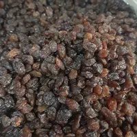 کشمش آفتابی درشت اعلا