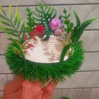 سهره|پرنده|خمینی‌شهر, |دیوار