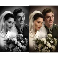 عکس آلبومی|تابلو، نقاشی، عکس|تربت جام, بوستان وحدت|دیوار