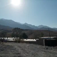 فروش دامداری|فروش دفتر صنعتی، کشاورزی، تجاری|پلنگ آباد, |دیوار