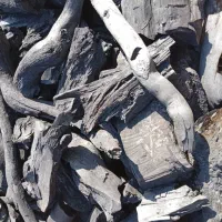 زغال کبابی بسته بندی جنگلی|عمده‌فروشی|تهران, افسریه شمالی|دیوار