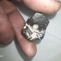 شهاب سنگ|کلکسیون اشیاء عتیقه|همدان, |دیوار