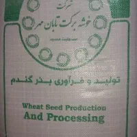 بذر گندم باران