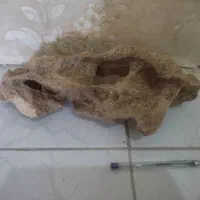 سنگ داخل اکواریوم