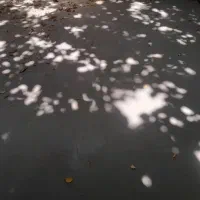 تخت ۲×۲/۵نو|تخت و سرویس خواب|اصفهان, شفق|دیوار