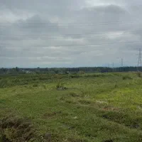 مزرعه سنتی ۳۳۶۰متری/راه سر مزرعه/اب دارد|فروش دفتر صنعتی، کشاورزی، تجاری|رضوانشهر, |دیوار