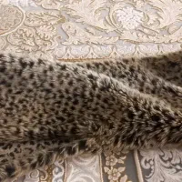 پالتو مارک toto|لباس|قم, باجک دو|دیوار