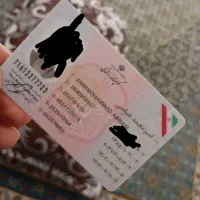 کیف پولی گم شده