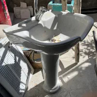 سرشور همراه با شیر