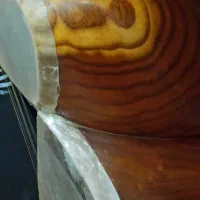 تار مجلس افروز|سازهای سنتی|تبریز, |دیوار