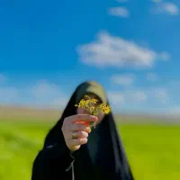 مدارک گمشده