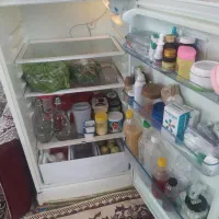 یخچال کار کرده فیلور|یخچال و فریزر|قنوات, |دیوار