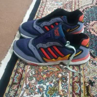 کفش|کیف، کفش، کمربند|مشگین شهر, |دیوار