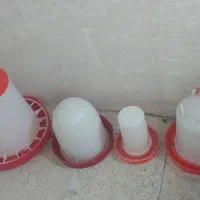 ابخوری مرغ