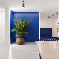 اجرای تخصصی انواع کناف و کمپارس تایل|خدمات پیشه و مهارت|آق قلا, |دیوار