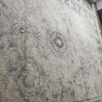 فرش طلاکوب|فرش|مشهد, گلشور|دیوار