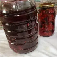 ترشی|خوردنی و آشامیدنی|مشهد, ادیب نیشابوری (شهرک غرب)|دیوار