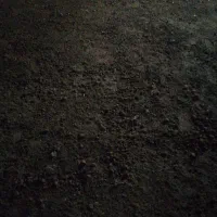 زمین کشاورزی