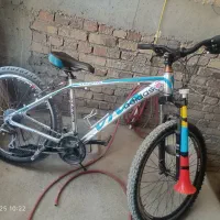 دوچرخه 26ویوا